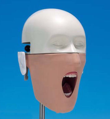 Illustration for article titled These Silently Screaming Dental Mannequins Are What Nightmares Are Made Of